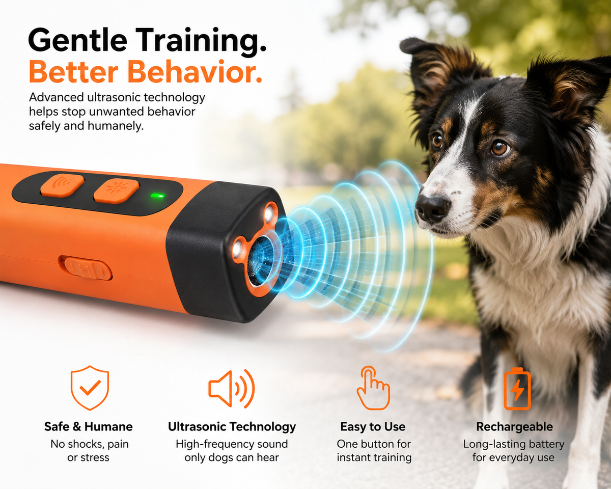 Bark Trainer